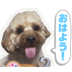 yutarou_20250922031218