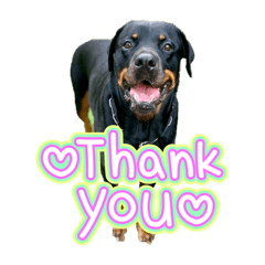 SALLY_20250924204841