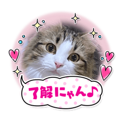 nanami_20250924182516