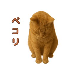 HACHI_20250924193728