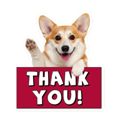 柯基阿皮-日常版