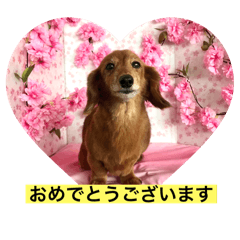 Arisa_20250924201133