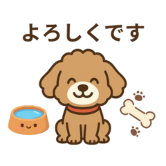 With My Toy Poodle
