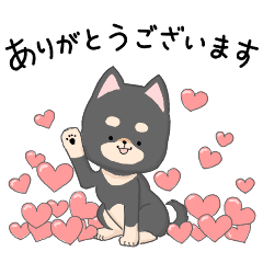 My color 柴犬　黒