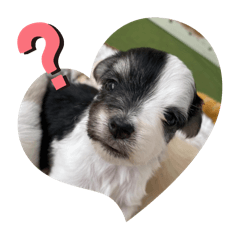 akumi_20250924163110