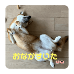 Suzu_20250924202848