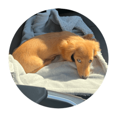 MATSU_20250924205757