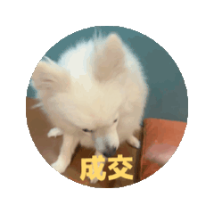 芙芙動起來