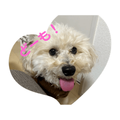 Asuka_20250924215313