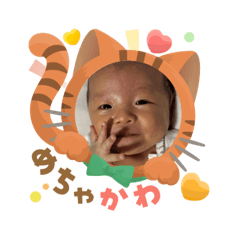 cherry_20250925051916