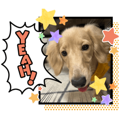 itsuki_20250924223500