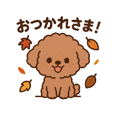 Cute & Cozy Toy Poodle Life