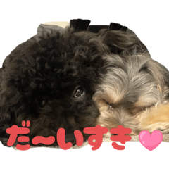 natsu_20250924233804