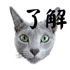 kiyora_20250924234358