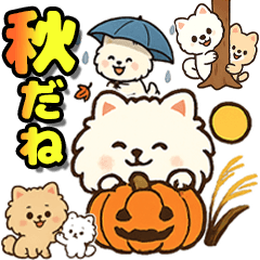 秋♡ず～っと使える♡ポメラニアン BIG