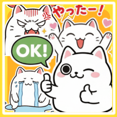 白にゃんこ喜怒哀楽