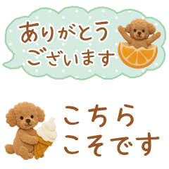 癒しプードルの極省スペースで丁寧敬語