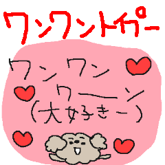 cute cute wanwan toy poodle!