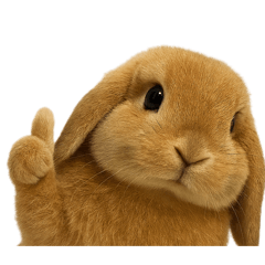 kinako_20250925005100