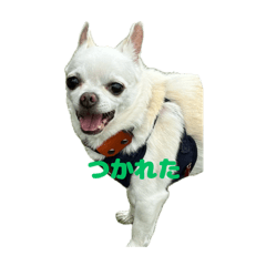 hana_20250925110857
