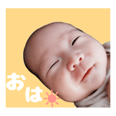 chihiro_20250925115306