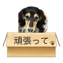 yuka_20250925120102