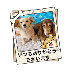yuka_20250925122524