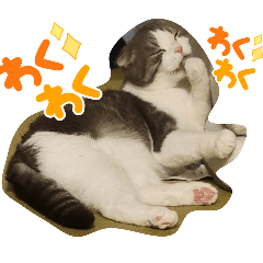 Kaori_20250925131138