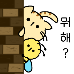 Nyomi, a cat like a tiger