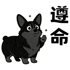 Caining_20250925130314