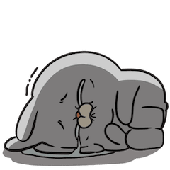 RabbitFam : Patah hati