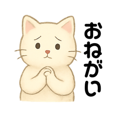 每天都能用！大家家的温柔猫