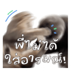 จิ๋วโก๋จู๊ดจ้ม ver.4