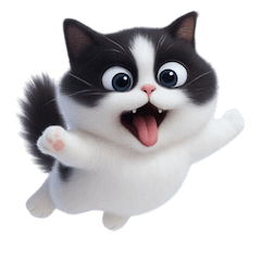 胖嘟嘟的黑白貓， 調皮的臉 (NT)