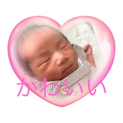 sakura_20250924162550