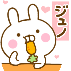Rabbit Usahina love Junho 2