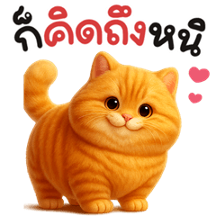 Meow orange cat cute