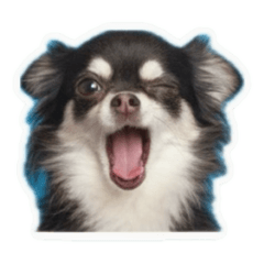 Nissy_20250925164637