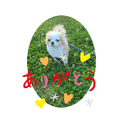 tukune_20250925170408