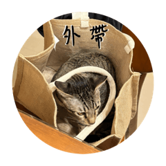 將軍台詞系列-1