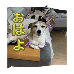 Emma_20250925211501