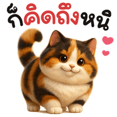 เหมียวสามสีน่ารัก