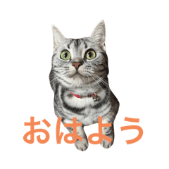 daichi_20250925181621