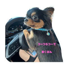 Hatamata_20250925182423