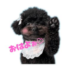 mizuki_20250926001327