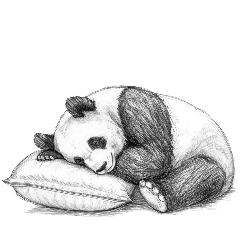 aichan_20250924190442