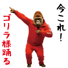 ゴリラ様踊る！
