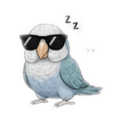 punk_1114_20250925150706