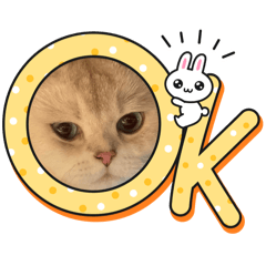 雪寶寶的日常^^