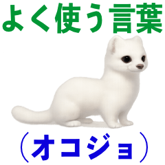 よく使う言葉（オコジョ編）